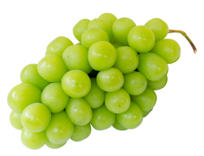 シャインマスカット | みらいの果物 | みらいガーデンファーム | 山口